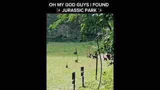 I FOUND JURASSIC PARK 😱🤯 #dinosaurs #jurassicworld #viral