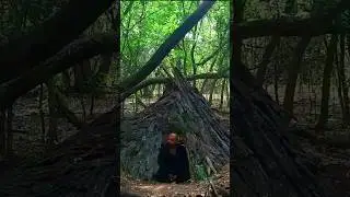 САУНДТРЕК ВЫЖИВАЛОВО #сэнсэй #саундтрек #гимн #выживалово #survival #лес #выживание