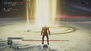 ELDEN RING NIGHTREIGN - Everdark Equilibrious Beast Duos
