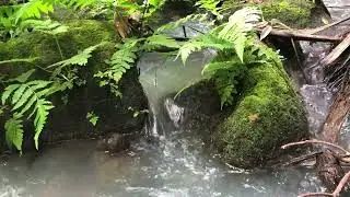 Natural Stream Sounds for Relaxation and Sleep | Raw Water Sounds