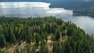 Ponderosa Point