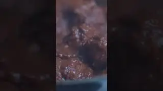Beef Curry in 60 Seconds 🍛🔥