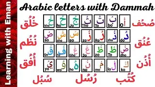 Arabic diacritical marks _ Dammah above Arabic letters _ Arabic short vowel | Tashkeel