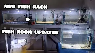 New Fish Rack & Fish Room Updates