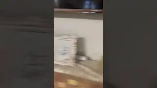 Adhan on Alexa