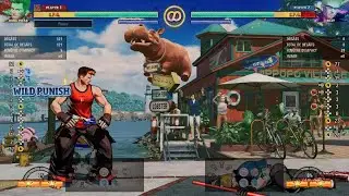 FATAL FURY: City of the Wolves Kim Dong Hwan wild punish 2 hit combo super