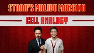 Stark&rsquo;s Malibu Mansion - A Cell Analogy by Guillian Josh Mangalindan