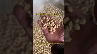 2023 Popular Feed Pellet Machine for Making Dog Food: Also for Floating Fish Feed Pellets #feed