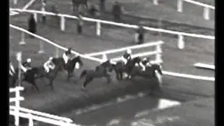 Гранд Нэшнл 1965 года