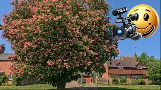 STUNNING Walk - Newnham & Badby in the Midlands - Spring 2025