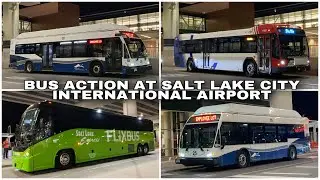 Bus Action At Salt Lake City International Airport (5/29/21)