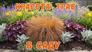 🌾Лучшие и  самые красивые!  18 декоративных трав  (злаков) для сада.🌺