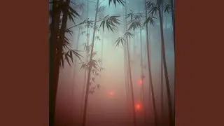 Paper Lantern Path