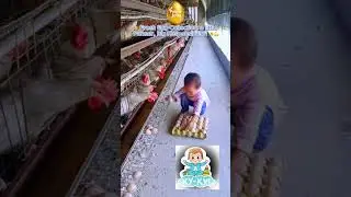 🥚FARM FRESH EGGSHAND: PICKED WITH CARE 🐣 Fresh Egg Collection: Small Farmer, Big Responsibility! 🐥💪