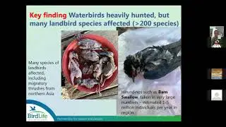 Ding Li Yong: Overview of shorebird findings from BirdLife&rsquo;s situation analysis in Southeast Asia