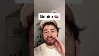 Wenn Organe reden k&ouml;nnten ..
