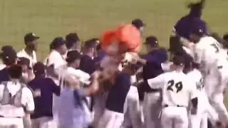Columbia Fireflies head to Carolina League Championship after win in first home playoff game