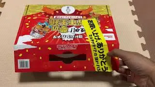 New Year Lucky bag from Yodobashi Tokyo | SMGadgets