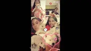Ganhei uma nova cachorrinha Lolla ❤️❤️💗💗
