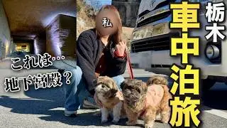 【犬連れ車中泊】栃木にこんな場所あったの？絶対行って欲しい巨大地下空間！宇都宮/道の駅たかねざわ元気あっぷむら