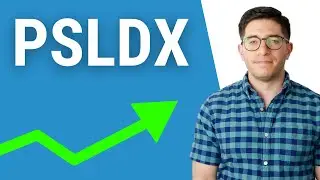 PSLDX Review - PIMCO StocksPLUS&reg; Long Duration Mutual Fund