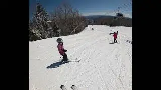 Gore mountain fox lair