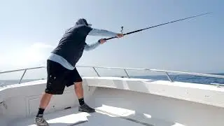 Maximize your cast with TERN2