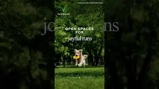Open Space for Joyful Run - Vaswani Starlight