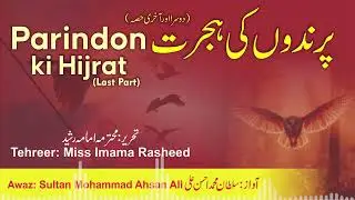 Parindo ki Hijrat | Mantiq ut Tair | Attar’s Conference of Birds | Urdu/Hindi Podcast