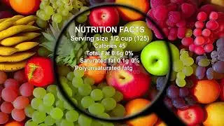 The Liver Functions/Your Body's Multifunctional Organ