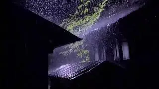 Calm Rain | Backyard Garden Rainfall for Gentle Sleep (LIVE 24/7)