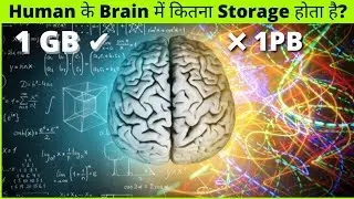 कितने GB का है मानव दिमाग | storage capacity of human brain