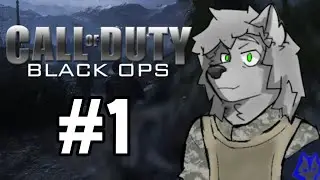 A jugar una vez mas! | Call of Duty BLACK OPS 2| #4