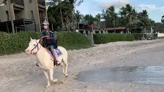 Dealing With the Language Barrier in Thailand