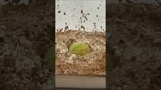 Slow Motion Flour Craters Science Experiment