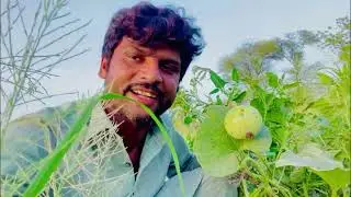 My first vilog javed shani