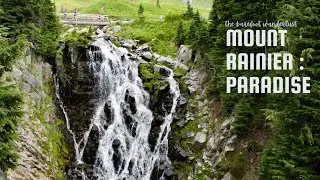 Mount Rainier National Park, Paradise | Washington | Pacific North West