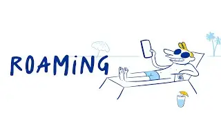 DIGITAL EXPLORERS - What is roaming?