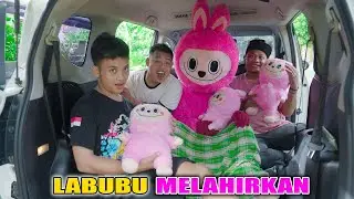 LABUBU RAKSASA MELAHIRKAN BAYI KEMBAR TIGA DI MOBIL