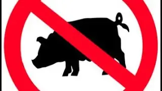 Why You Should Not Eat Pig? (eating kosher)