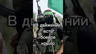 ТОП 5 фактов о ХАМАС в секторе Газа