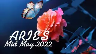 ARIES Mid May Oracle & Tarot Reading * You are being noticed & someone has a lot to offer you&hellip;