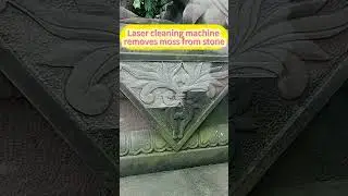 This Laser Makes Moss Vanish From Stone Instantly#shorts #cleaning #clean #clean #lasercleaning