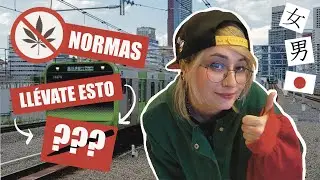 DATOS QUE NECESITAS PARA VIAJAR A JAPÓN