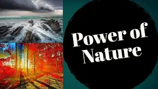 The power of Nature | When Nature Goes Wild | Part 1