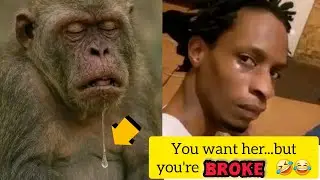 &ldquo;If You Laugh, You Lose &ndash; Meme Compilation 😭🤣&rdquo;pt 2