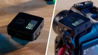 Rode Wireless Pro и BMPCC6k Pro