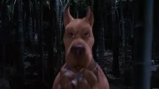 Scooby doo 2002 but only the slapstick 