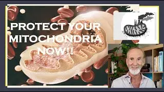MITOCHONDRIAL HEALTH: The Key to Aging and Chronic Disease