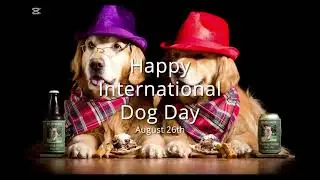 Happy International Dog Day!❤️🎊🎉❤️🎉🥳❤️🎊❤️🎊❤️🎉🎉❤️🎉❤️🎊❤️🎊❤️🎊🎉🥳🥳❤️🎉❤️🎊❤️🎊❤️🎊❤️🎊🎊❤️🎉❤️🎉❤️🎉🎉❤️🎊❤️🎊❤️🎊❤️❤️